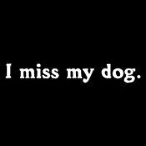 I Miss My Dog
