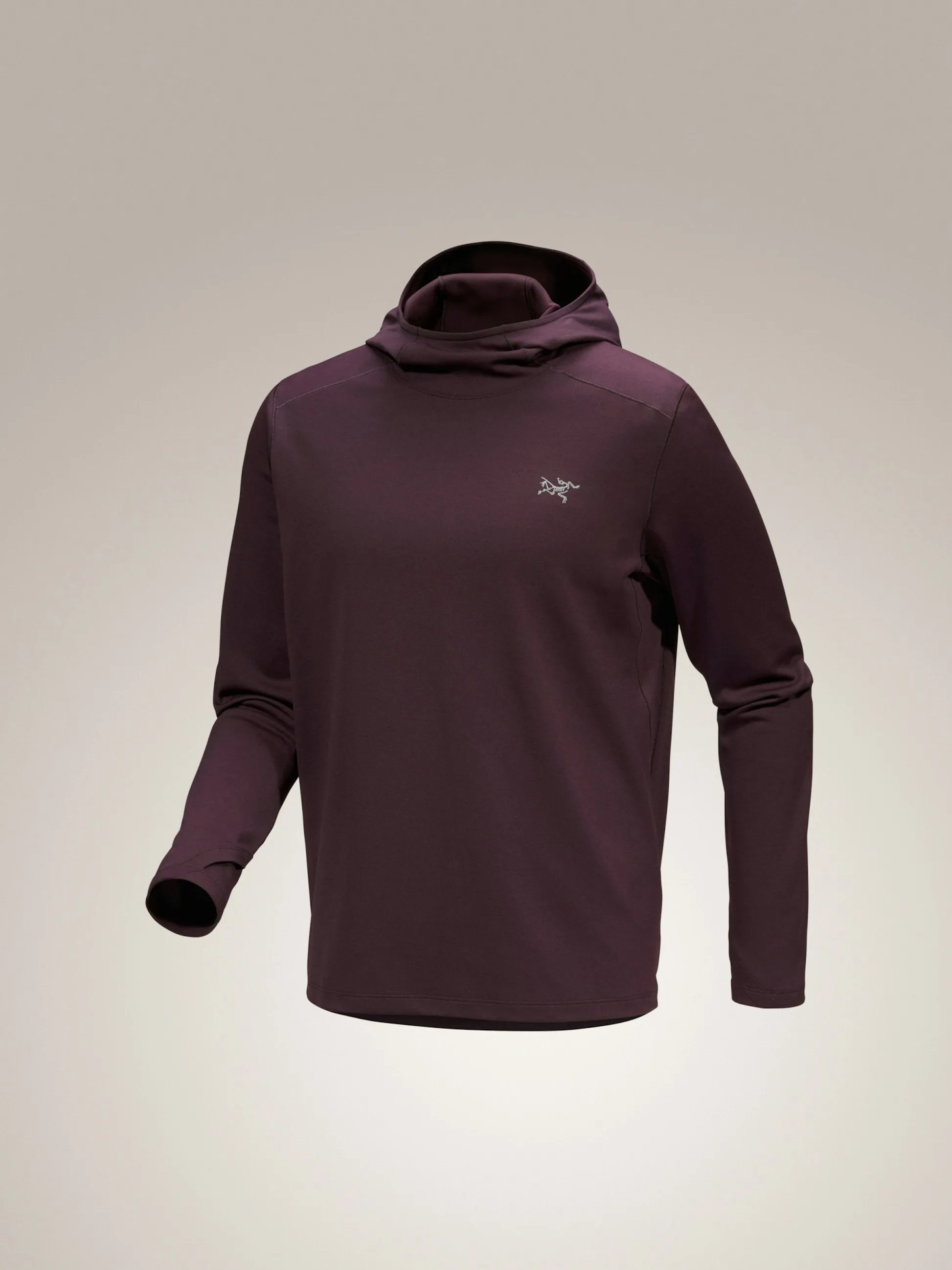 Men's Cormac Heavyweight Hoody (Past Season)