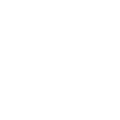 Never Forget - Dinosaurs