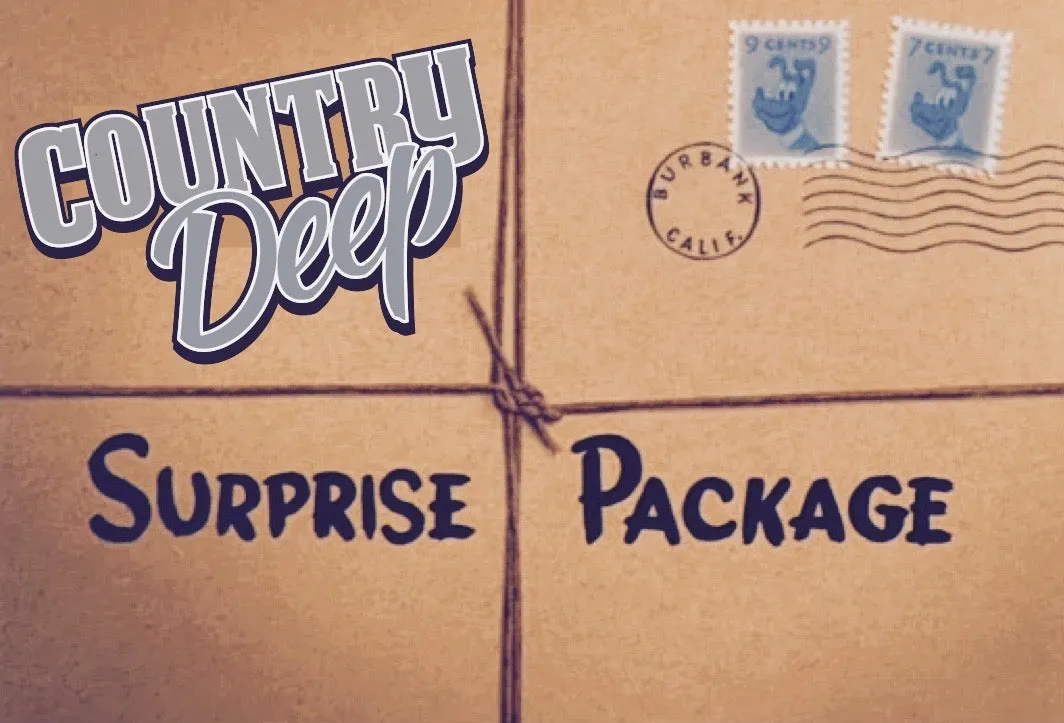 Surprise Package