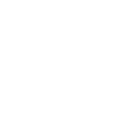 Well-Behaved Women Seldom Make History. Laurel Thatcher Ulrich