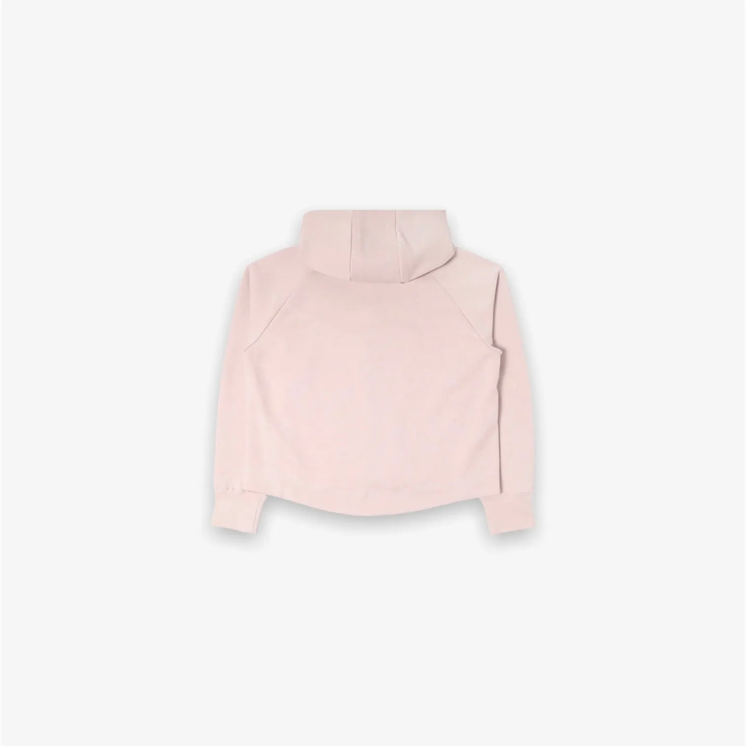 Women's Nike Sportswear Tech Fleece Hoodie Ash Pink CW4298-601